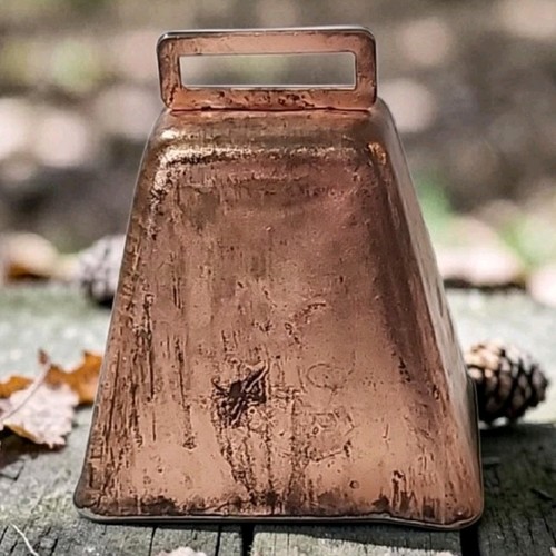 Vtg 1970s copper brass - vtg, cow