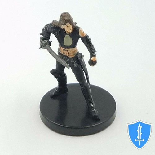 Shadow rogue kingmaker - rogue,