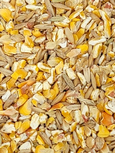 Scratch grains chicken - scratch,