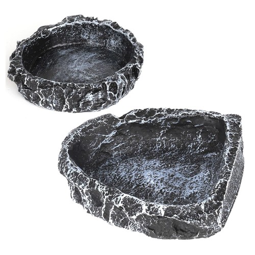 Reptile water dish - water, food