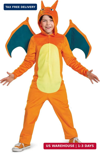 Disguise pokemon charizard - pokemon,