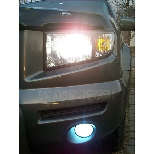 Xenon halogen fog lamps - fog,