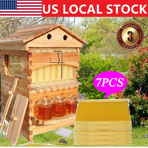 Automatic honey harvester - automatic,