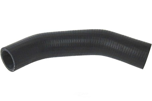 Radiator coolant hose - coolant,