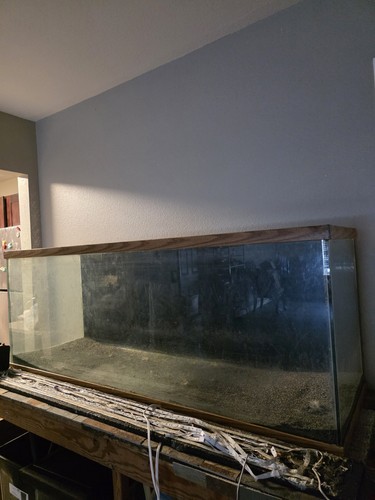 125 gallon fish - 125,