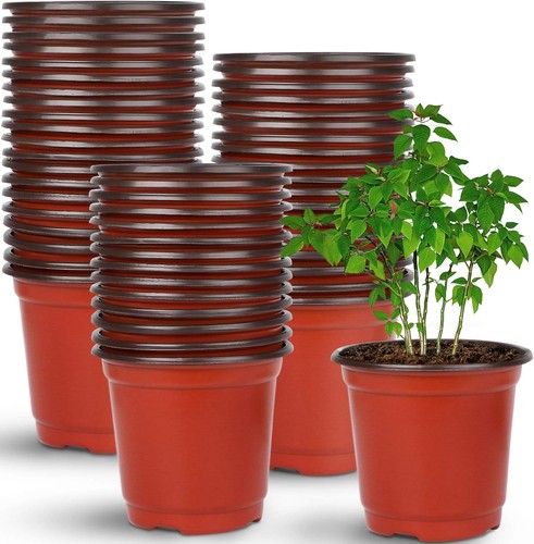 Nursery pot 110 - nursery, pcs