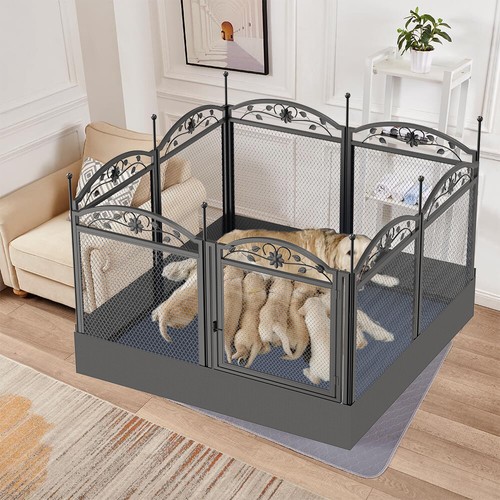 Spacious large dog whelping - spacious,