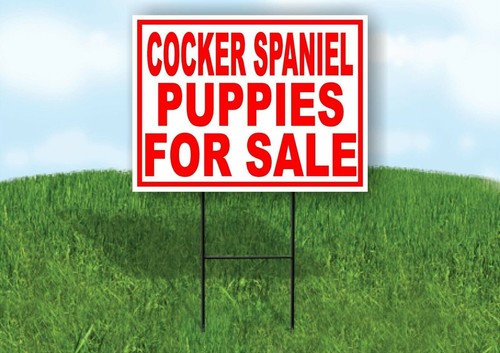 Cocker spaniel puppies for - spaniel,