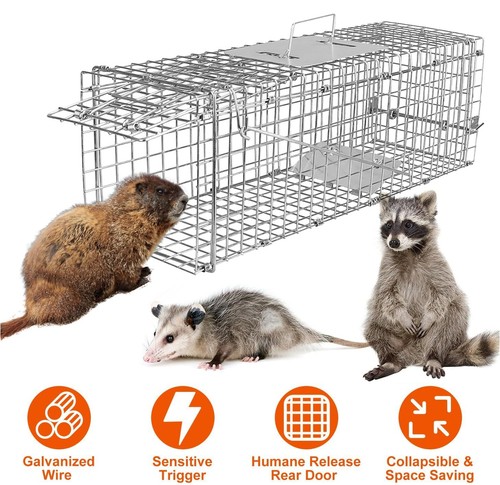 Live animal cage - animal, trap