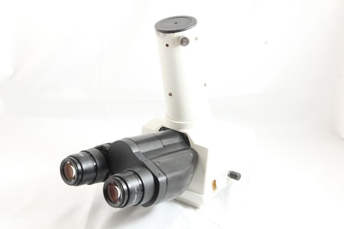 Nikon microscope - nikon,