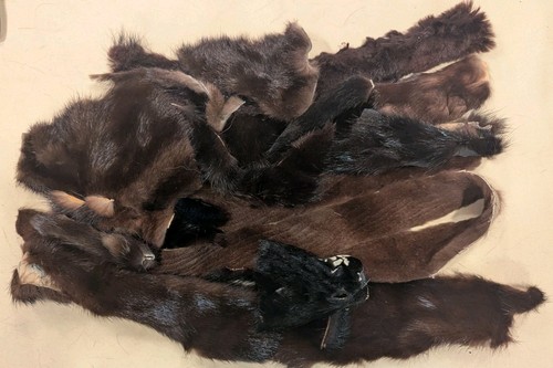 Lot genuine black ranch - genuine,