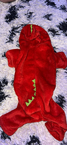 Plush dinosaur dog costume - plush,