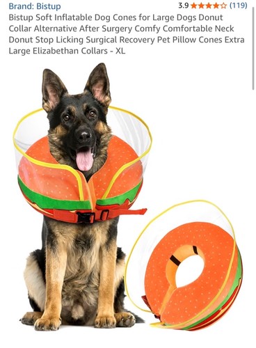 Inflatable dog cone - inflatable,