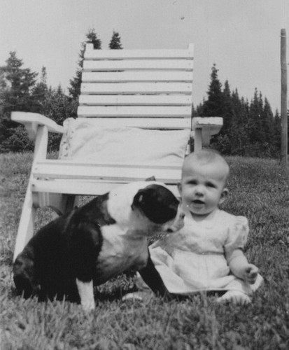 Baby sitting grass pet - sitting,