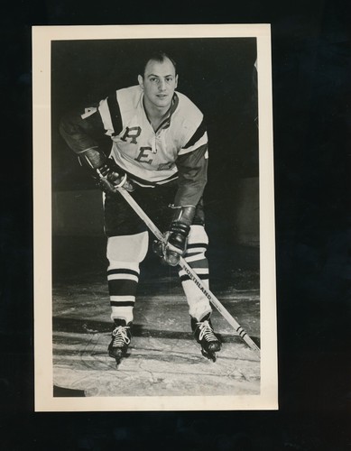 1968 providence reds ahl - 1968,