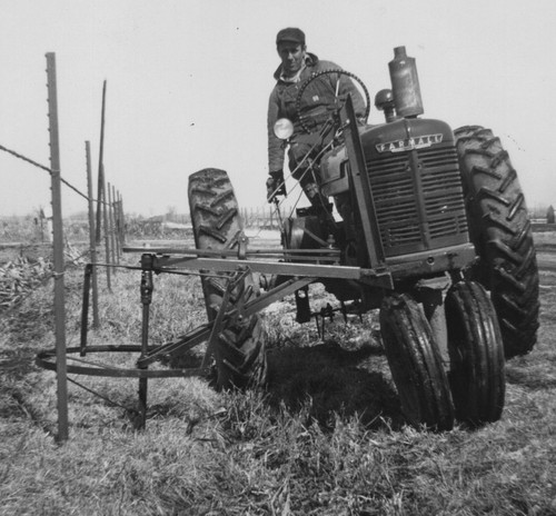 1950s farmall tractor - farmall, farmer