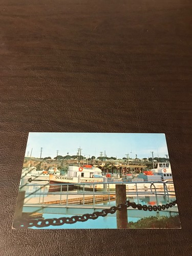 Unposted postcard fishing - unposted,