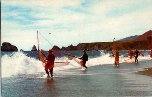 Bodega bay postcard - bay, ca