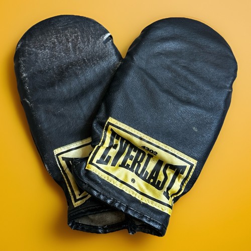 Vintage everlast 4302 - vintage, leather