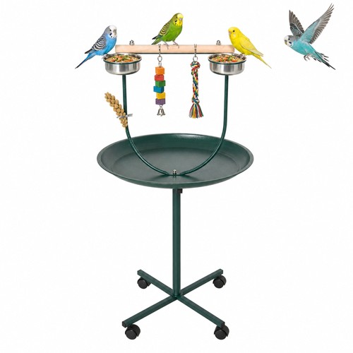 Bird parrot play stand - play,