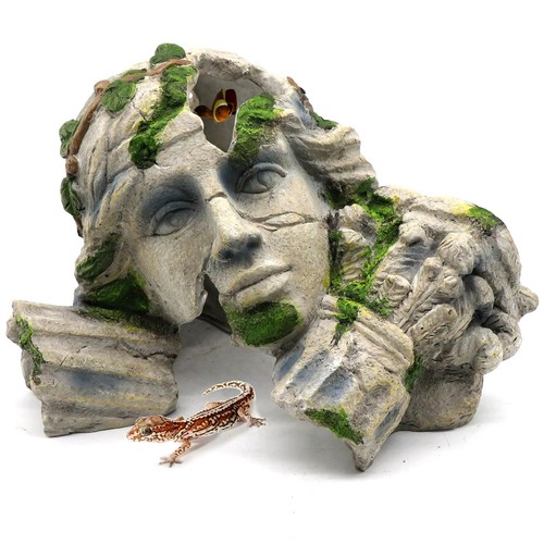 Reptile cave hideout tank - reptile,