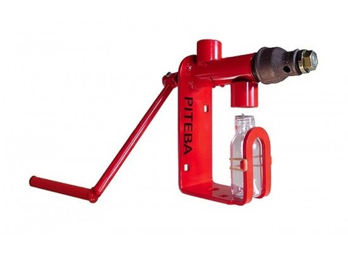 Piteba nut seed - nut,