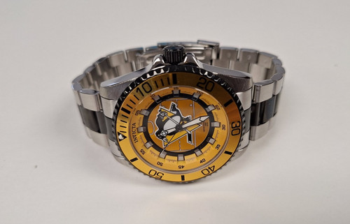 Pittsburgh penguins nhl - pittsburgh,