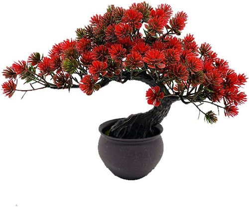 Artificial plants - plants,