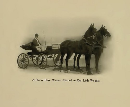 Horse drawn carriage cart - horse,