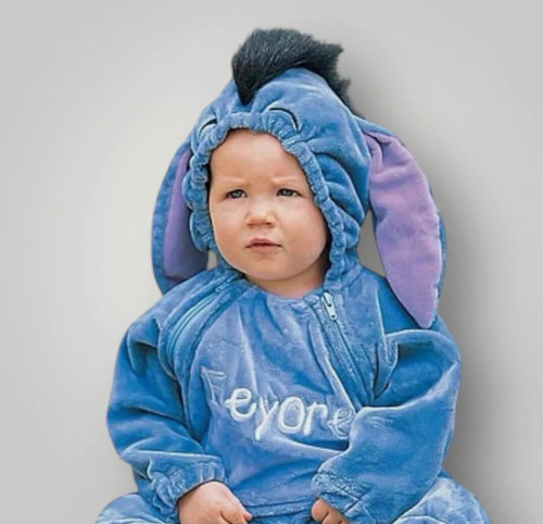 Disney winnie the pooh eeyore - disney,