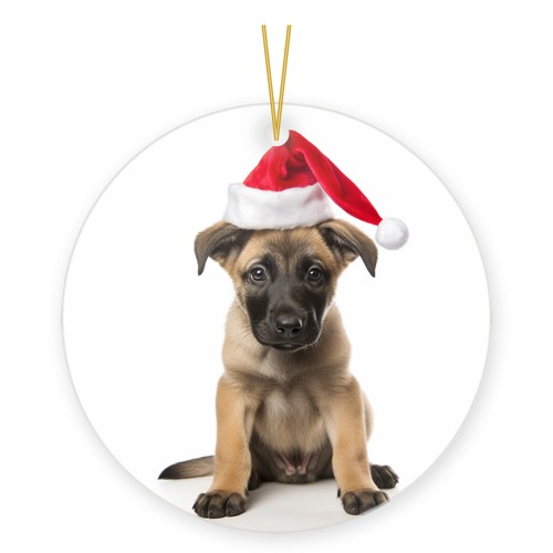 Belgian malinois puppy - malinois,