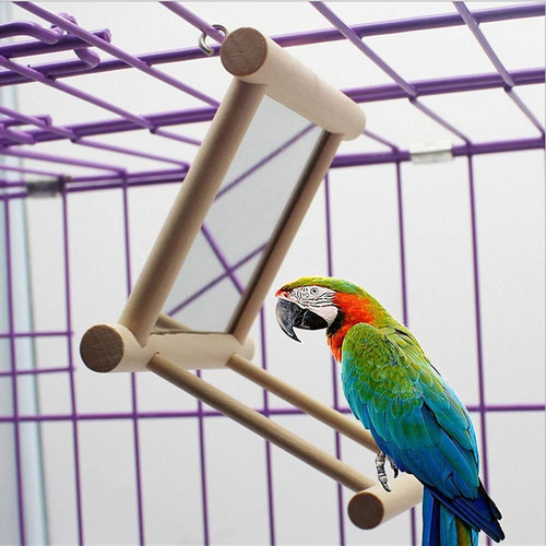 Bird mirror with swing and - bird,