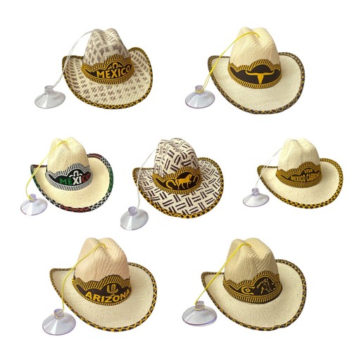 One mini mexican palm hat - one,