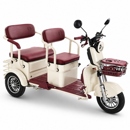 Wheel mobility scooter800w - 3-wheel,