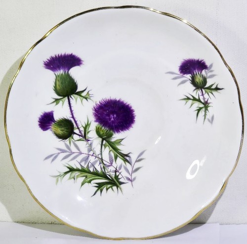 Duchess thistle pattern - thistle, 5-1/2"