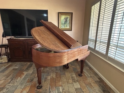 Baby grand piano - baby,