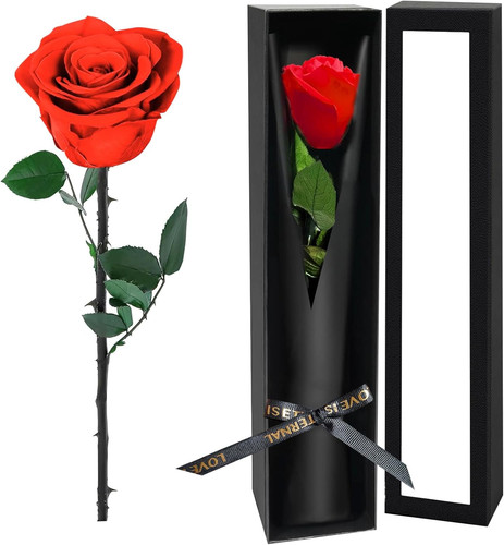 Single forever roses a - single,