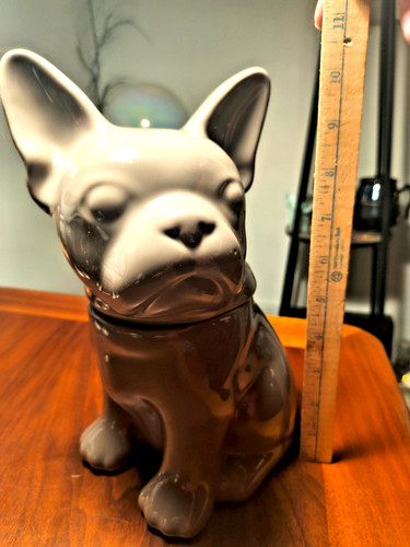 Grey puppy french bulldog - grey,
