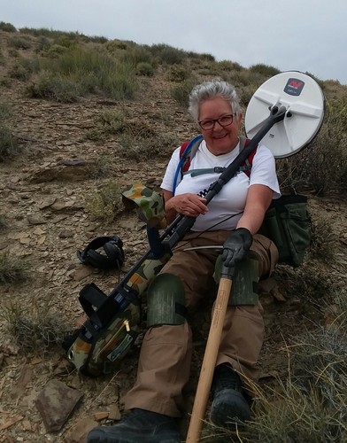 Minelab gpz 7000 metal - minelab, gpz-7000