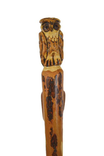 Owl walking stick carving - owl,