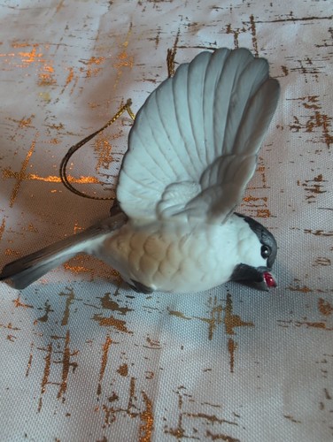 Andrea sadek chickadee - andrea,