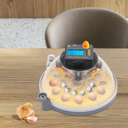 Egg incubator with - incubator, automatic
