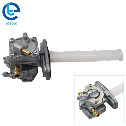 Fuel petcock valve assembly - fuel,