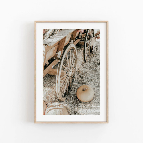 Nature print gallery wall - nature,