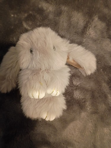 Soft gray bunny plush - gray,