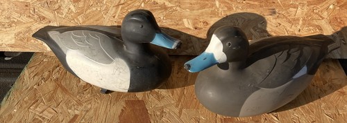 Victor bluebill drake - d-9, &