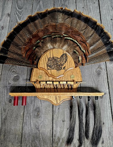 Wild turkey beard spurs fan - turkey,