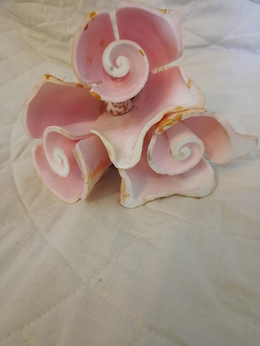 Shell art handmade mexico - art,,