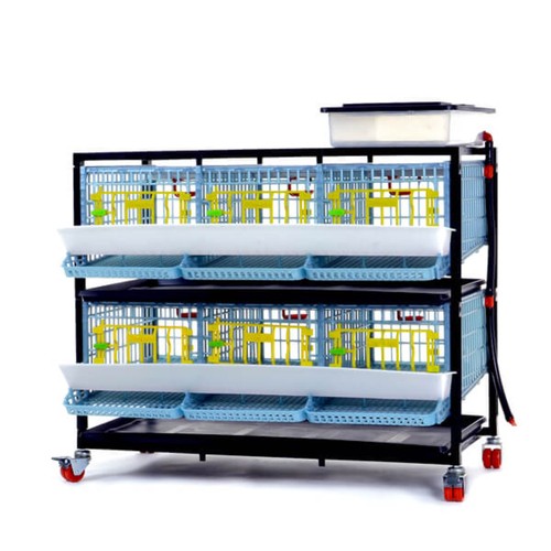 Quail cage 2 layer - quail,