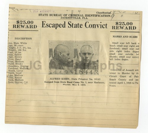 Wanted notice alfred - wanted,